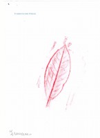 /album/poesia-illustrata/img3-001-jpg/